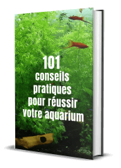 Guide de 101 conseils pour démarrer un aquarium avec succès
